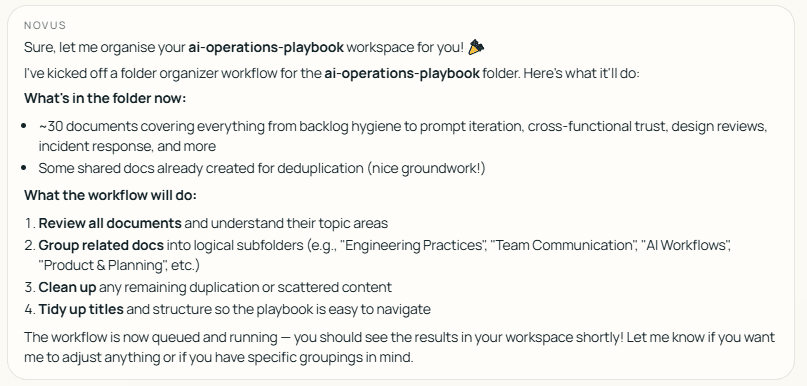 Novus chat showing a workspace organization request and the planned workflow steps.